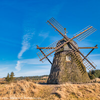 Buy canvas prints of Lygnmoellen, wind mill Thacted with Heather in Western Denmark by Frank Bach