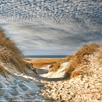 Buy canvas prints of Dunes at the North Sea coast in Rindby at Fanoe, Denmark by Frank Bach