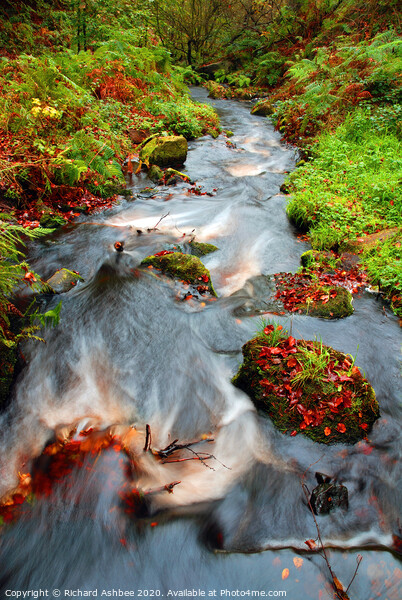 Wyming Brook, near Sheffield Framed Mounted Print by Richard Ashbee