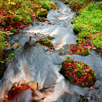Buy canvas prints of Wyming Brook, near Sheffield by Richard Ashbee