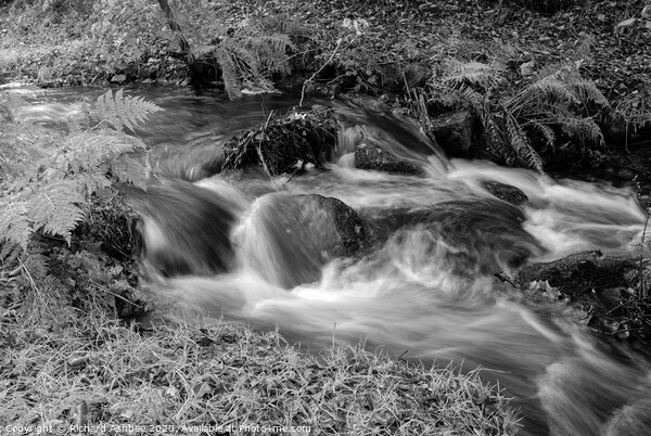 Peak district waterfall at Padley Gorge in black & Framed Print by Richard Ashbee