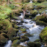 Buy canvas prints of Babbling Burbage Brook, Padley Gorge, Derbyshire by Richard Ashbee