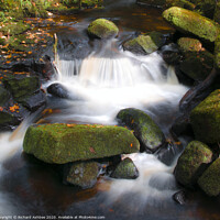 Buy canvas prints of Burbage Brook, Padley Gorge, Derbyshire by Richard Ashbee