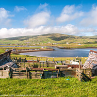 Buy canvas prints of Traditional Shetland boat sheds at Cunningsburgh by Richard Ashbee