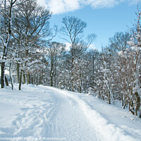 Buy canvas prints of Snowy track in Graves Park Sheffield by Richard Ashbee