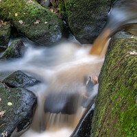 Buy canvas prints of River Rivelin tumbling through a wooded valley by Richard Ashbee