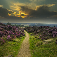 Buy canvas prints of Track to Fox House in the Peak District by Richard Ashbee