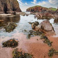 Buy canvas prints of North end of the Hams of Muckle Roe Shetland by Richard Ashbee