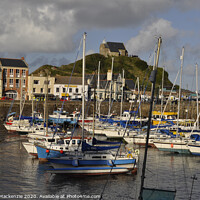 Buy canvas prints of Ilfracombe, Inner Harbour at half tide. by Alasdair Mackenzie