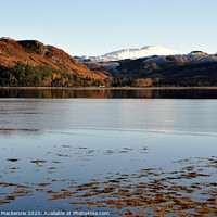 Buy canvas prints of Looking across to Attadale from Lochcarron by Alasdair Mackenzie