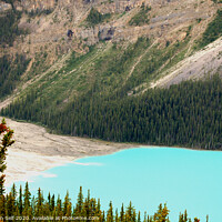 Buy canvas prints of Maligne lake by Benjamin Self