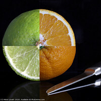 Buy canvas prints of Orange and Lime by Peter Lovatt  LRPS