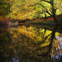 Buy canvas prints of Autumn Reflection by Peter Lovatt  LRPS