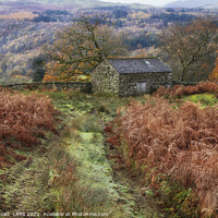 Buy canvas prints of Duddon Valley, Lake District by Peter Lovatt  LRPS