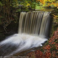 Buy canvas prints of Autumn at Big Weir, Clywedog Valley by Peter Lovatt  LRPS