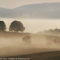 Buy canvas prints of Morning Mists by Peter Lovatt  LRPS