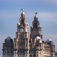 Buy canvas prints of Liver Building, Liverpool by Peter Lovatt  LRPS