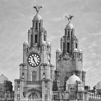 Buy canvas prints of Liver Building in Monochrome by Peter Lovatt  LRPS