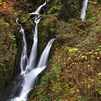 Buy canvas prints of Stock Ghyll Force in Autumn by Peter Lovatt  LRPS