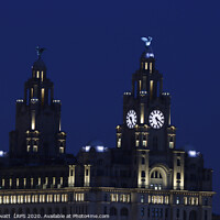 Buy canvas prints of Liver Building at Night by Peter Lovatt  LRPS