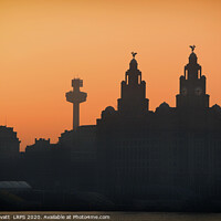 Buy canvas prints of Royal Liver Building, early morning by Peter Lovatt  LRPS