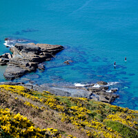 Buy canvas prints of Paddle boarders framed by out of focus gorse flowe by Peter Barber