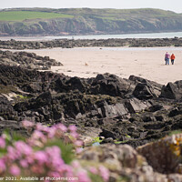 Buy canvas prints of Walkers on Pembrokeshire Beach framed by out of focus sea thrift by Peter Barber