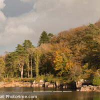 Buy canvas prints of Panoramic of Burritor Dam in Dartmoor in Autumn by Peter Barber