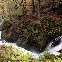 Buy canvas prints of Stockghyll Force flowing downriver to Ambleside by Peter Barber