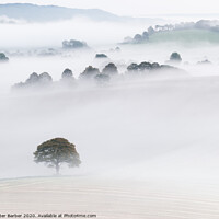Buy canvas prints of South Downs Mist Layers by Peter Barber