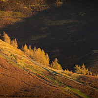 Buy canvas prints of Stairway to Skiddaw by Peter Barber