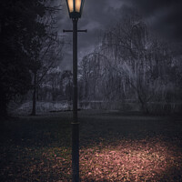 Buy canvas prints of A night in the park by Ingo Menhard