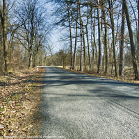 Buy canvas prints of Rural and narrow Germany country road in spring by Ingo Menhard