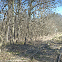 Buy canvas prints of Old overgrown and unused train tracks in the forest by Ingo Menhard