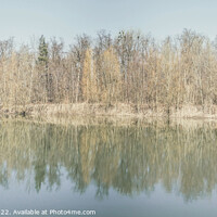 Buy canvas prints of Trees are reflected in the water of the forest lake by Ingo Menhard