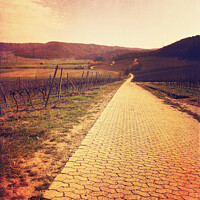 Buy canvas prints of The red wine walk by Ingo Menhard