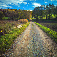 Buy canvas prints of Walking the autumn countryroad by Ingo Menhard