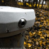 Buy canvas prints of Modern fire hydrant in the middle of the forest by Ingo Menhard