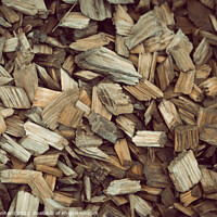 Buy canvas prints of Closeup shot of different sized wood chips by Ingo Menhard