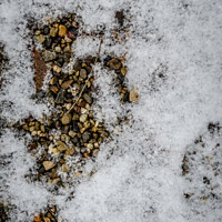 Buy canvas prints of Vertical shot of a ground with small stones covered with the snow by Ingo Menhard