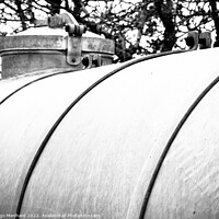 Buy canvas prints of Grayscale shot of a watering tank in a park by Ingo Menhard