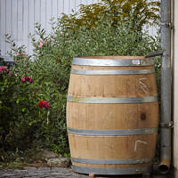 Buy canvas prints of A vertical shot of an old big wooden rain barrel in the garden by Ingo Menhard