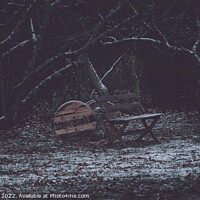 Buy canvas prints of Wooden bench on the icy meadow by Ingo Menhard