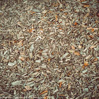 Buy canvas prints of Dried plants on the ground in autumn weather by Ingo Menhard
