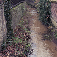Buy canvas prints of Vertical shot of a small river by Ingo Menhard