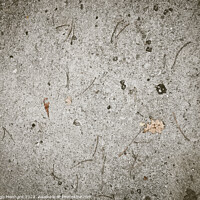 Buy canvas prints of Closeup shot of a concrete surface with grunge by Ingo Menhard