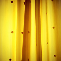 Buy canvas prints of Yellow shining curtain with roses on it by Ingo Menhard