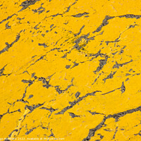 Buy canvas prints of A closeup shot of yellow cracked surface by Ingo Menhard
