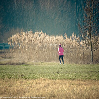 Buy canvas prints of Woman in a pink jacket jogging in the park with dried reed grass background by Ingo Menhard