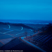 Buy canvas prints of Vineyard landscape by night by Ingo Menhard